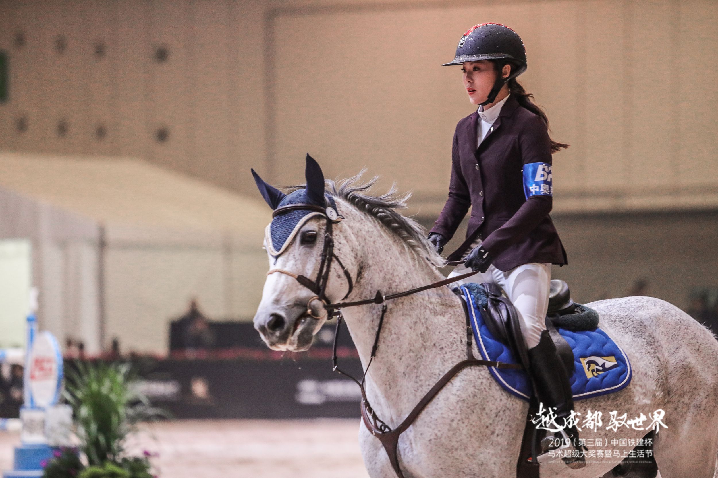 古传良骏日行千里 今有老哥俱乐部蓉城飘香